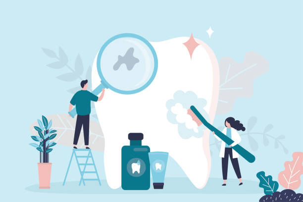 Professional  Holistic Dental Services in Littleton Common, MA